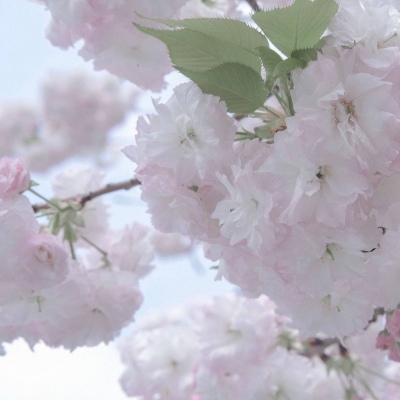 银州FurryQQ群介绍